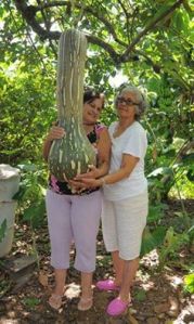 Calabaza en cuba