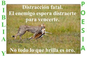 Distraccion fatal