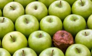 manzana podrida
