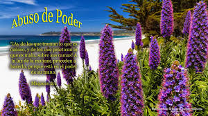 abuso de poder