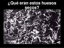 huesos secos 1