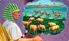 Jose y las vacas flacas